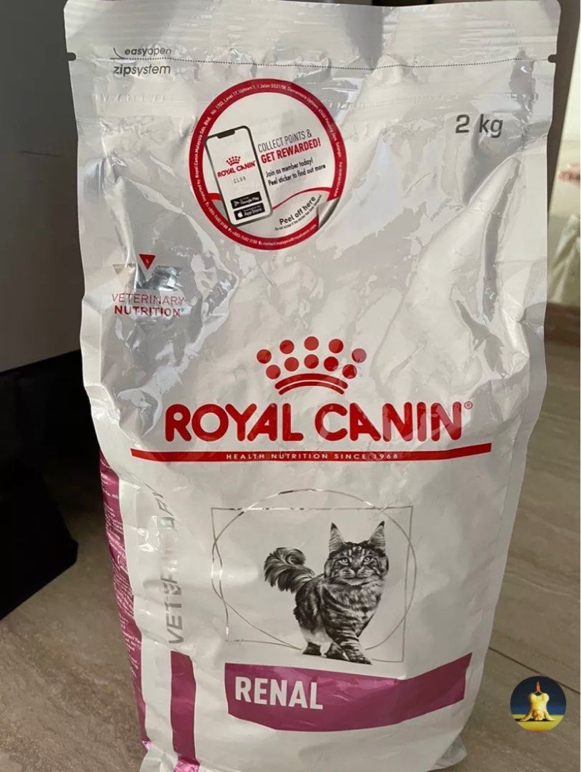 Royal canin renal palatability pack sale