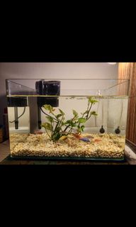 (Category: ) located in . Submitted by heysagey (Listing ID 1214544380, Image 1). Description: .