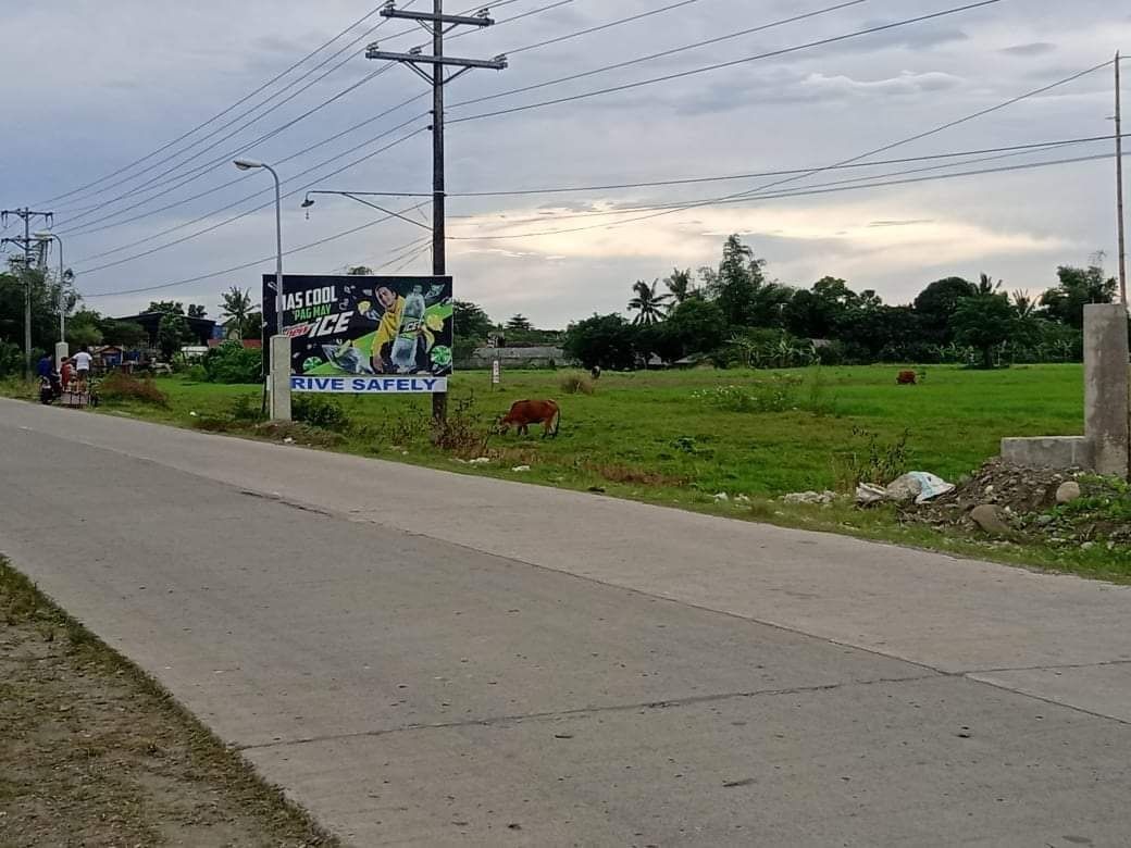 Sta. Barbara, Iloilo lot for sale on Carousell