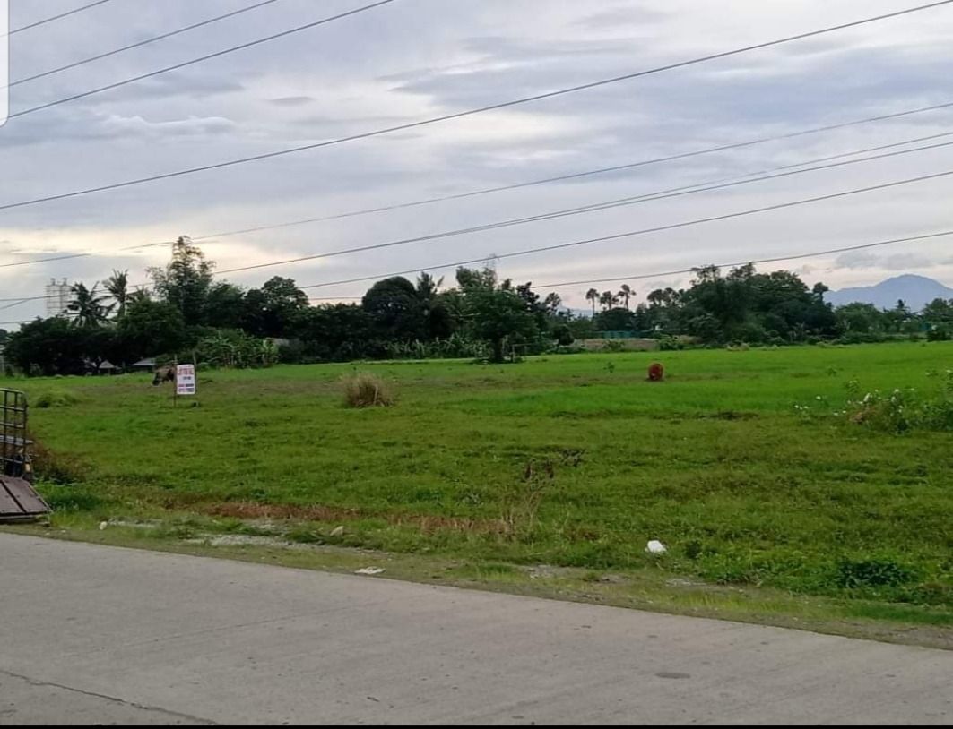 Sta. Barbara, Iloilo lot for sale on Carousell