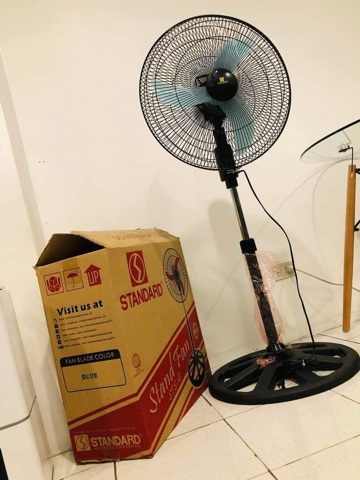 Standard 18" Electric Stand Fan Banana Blade STS18 (Assorted Color