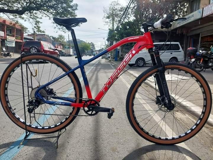 Toseek brandon 29er hotsell price