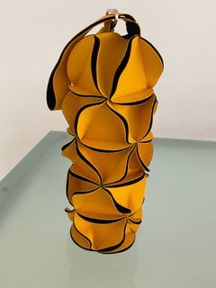 Wine Carrier