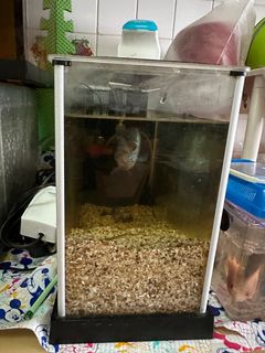 (Category: ) located in . Submitted by purewater.dff48d (Listing ID 1214768899, Image 1). Description: .