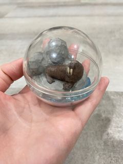 海洋扭蛋 海象款