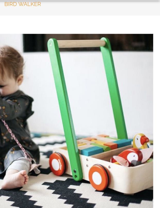 Plan toys clearance bird walker