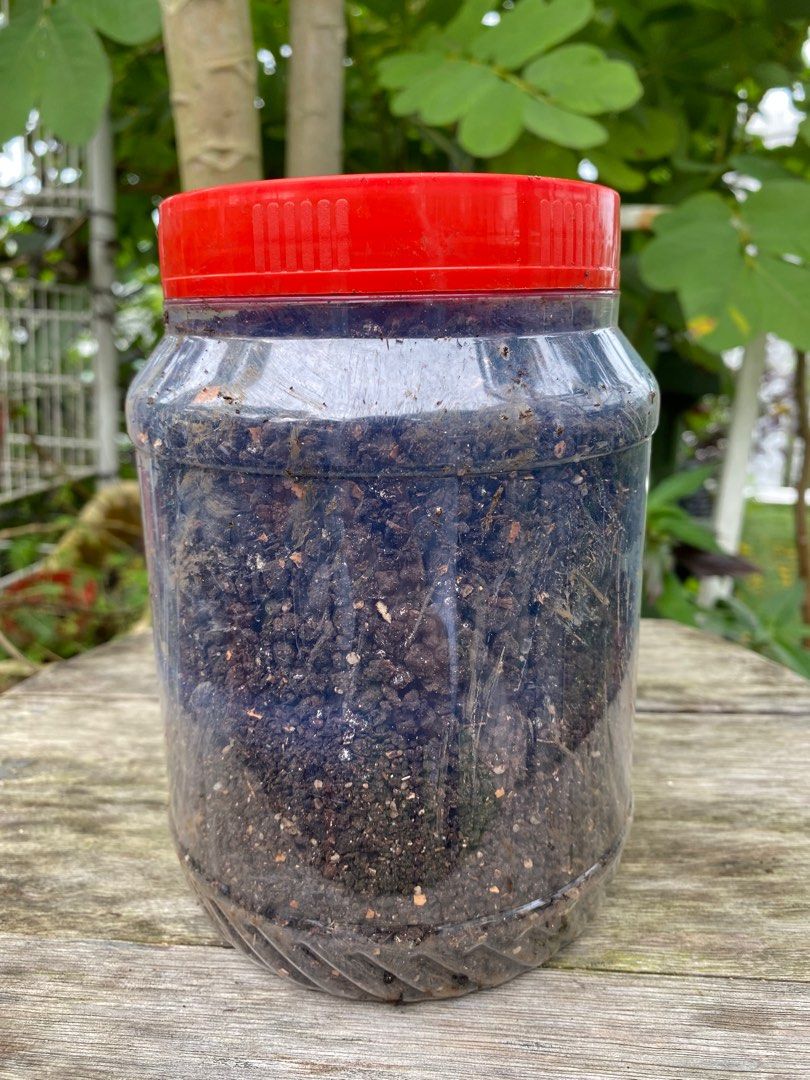 Chicken manure, Furniture & Home Living, Gardening, Garden Soil