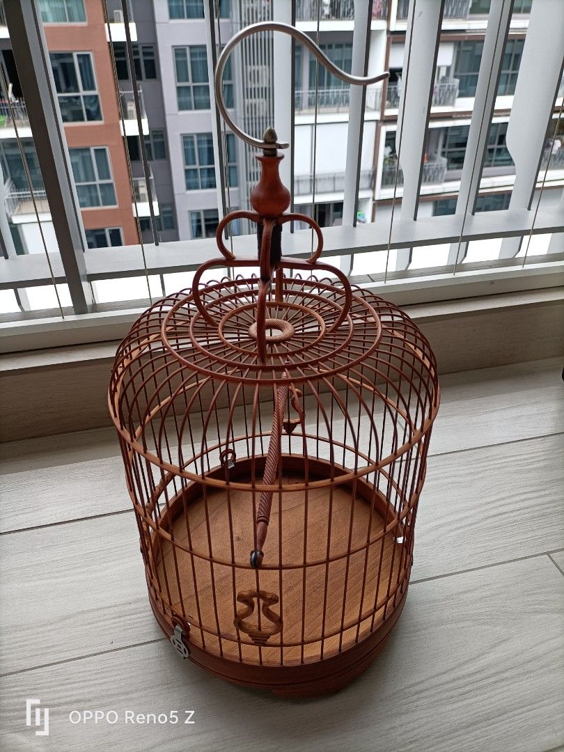 Finch cage, Pet Supplies, Homes & Other Pet Accessories on Carousell