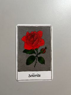（分類：）位於 。 由 scoopscoopskrrt 提交（商品編號 1214876347，圖片 1）。簡介： 。