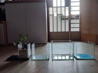 Glass tank (curved) - get all 4