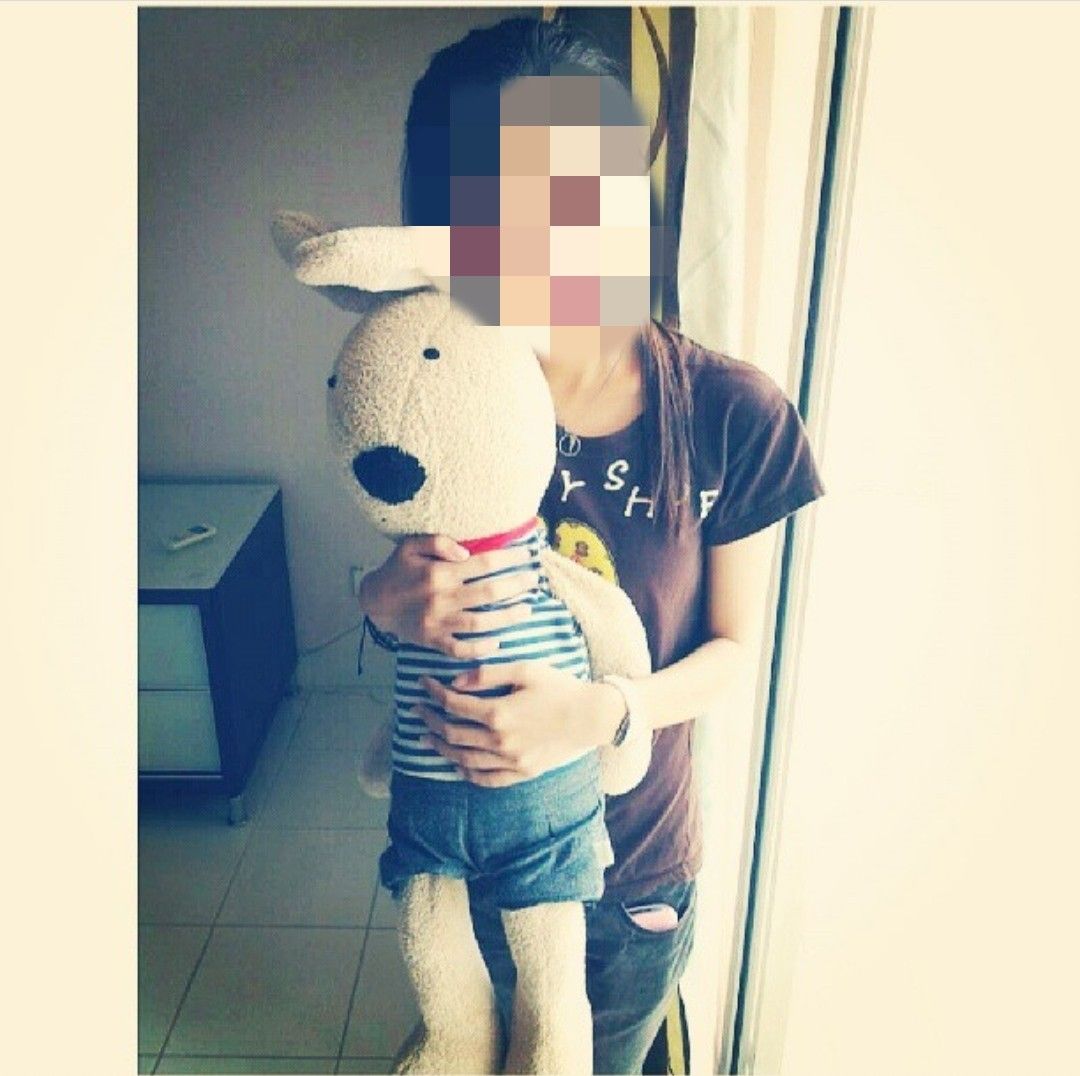 Le Sucre Bunny Rabbit Soft Toy Doll (Big), Hobbies & Toys, Toys & Games ...