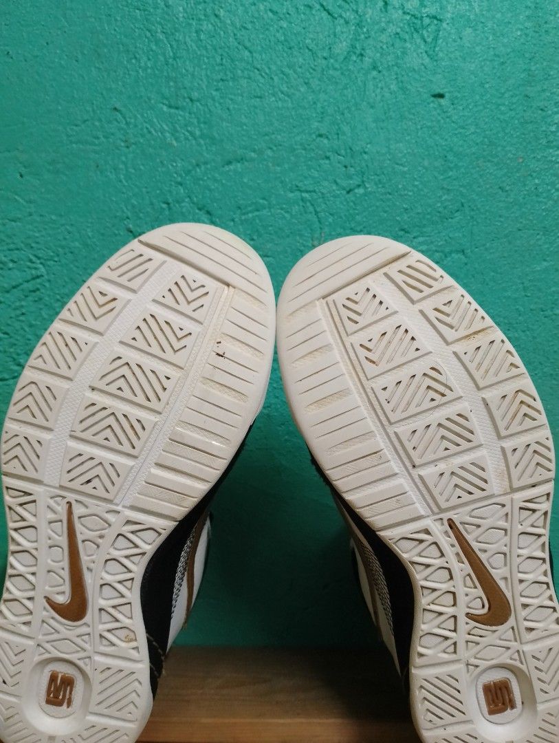 lbj ambassador 12