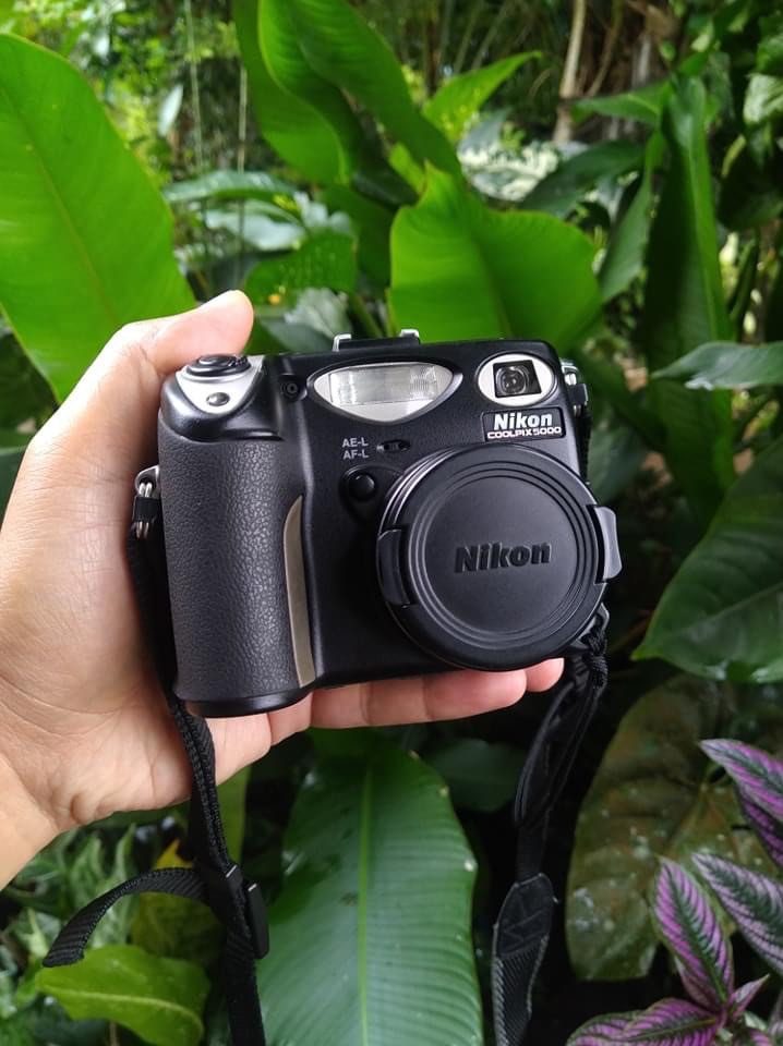 Nikon Coolpix 5000 Flip Screen Digicam, Photography, Cameras on Carousell