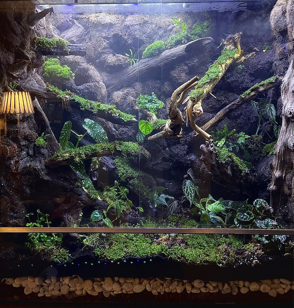 Paludarium/Vivarium /Terrarium, Furniture & Home Living, Gardening