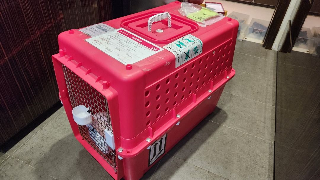 Pet travel crate (IATA approved Sky Crate), Pet Supplies, Homes & Other