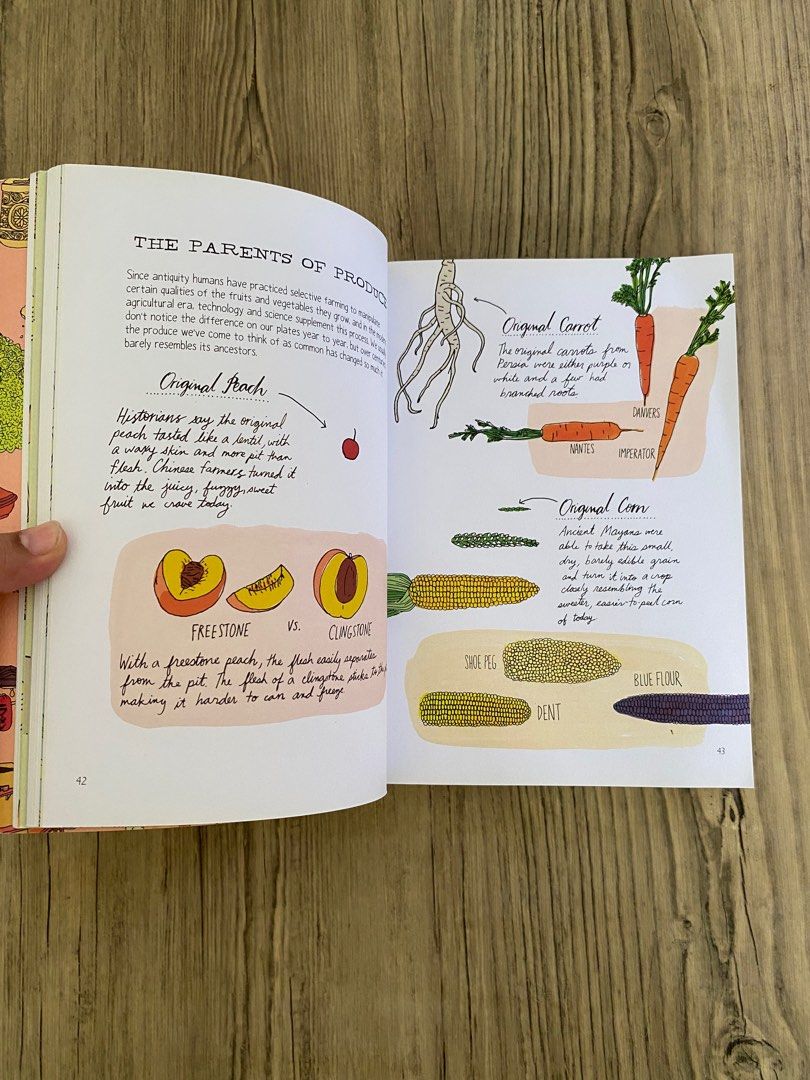 Preoved Book Farm Anatomy Julia Rothman, Buku & Alat Tulis, Buku di