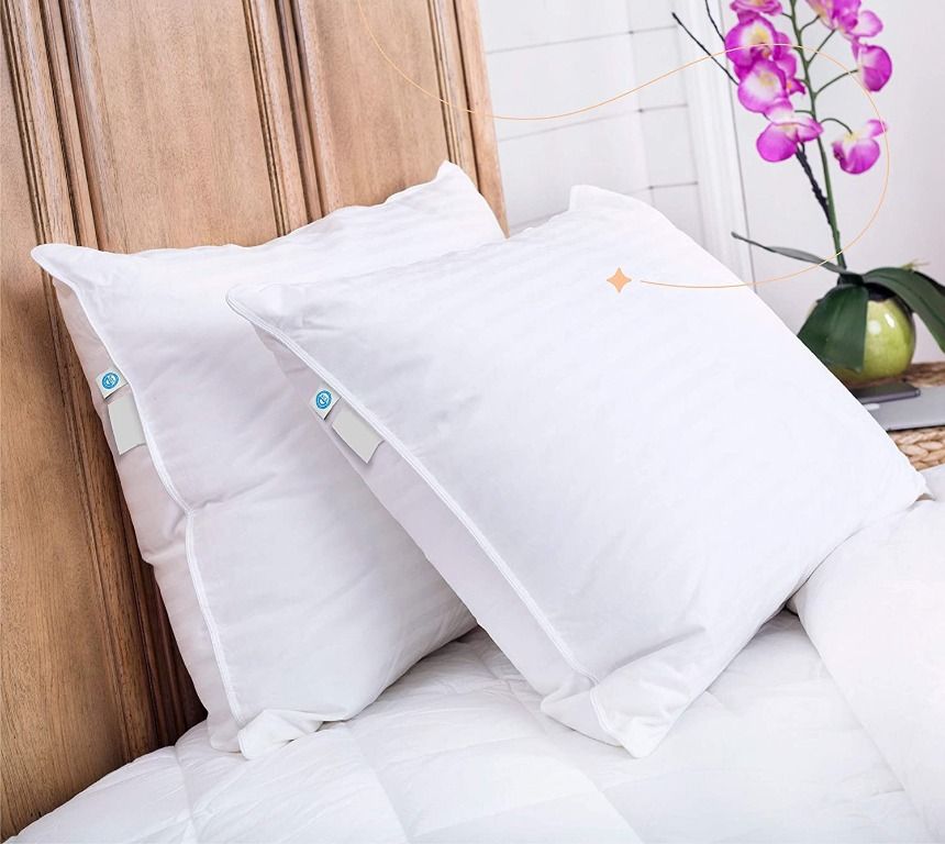 readystock Continental Bedding Superior 100 Down 700 Fill Power
