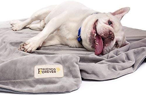 readystock) Friends Forever Durable Dog Blanket for Couch Protection | Two  Tone Reversible Pet Hair Resistant
