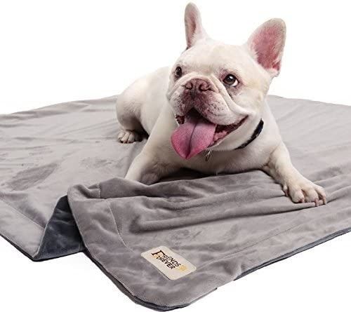 Hair resistant deals dog blanket
