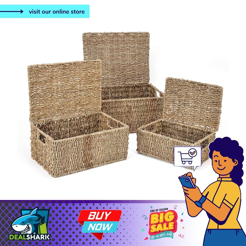 readystock) Trademark Innovations Rectangular Seagrass Baskets Lids (Set of  3), Brown, Furniture & Home Living, Home Improvement & Organisation,  Storage Boxes & Baskets on Carousell