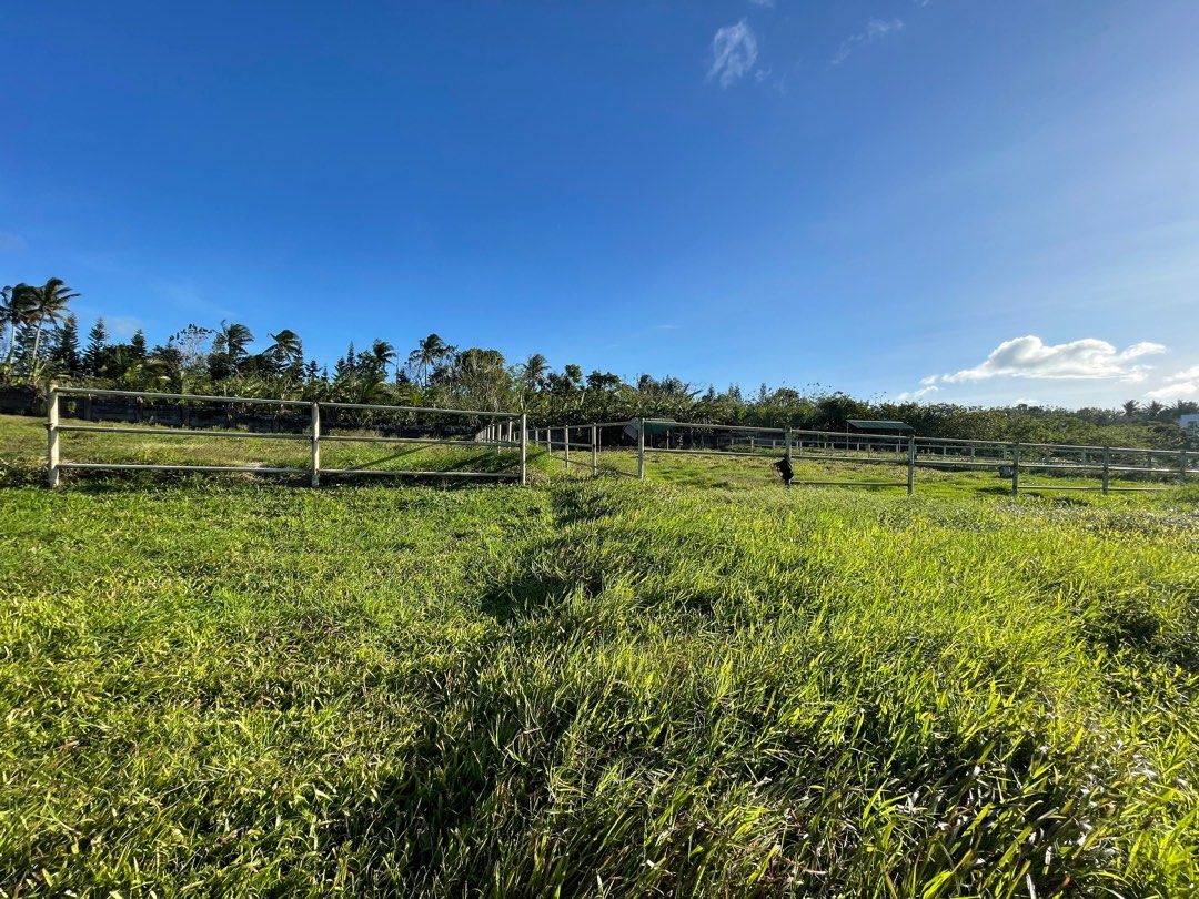 Tagaytay Farm Lot for Sale, Property, For Sale, Lot on Carousell