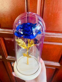 Valentines gift | Gift Idea for her | Home Decor Beauty and the beast inspired flower in a glass dome