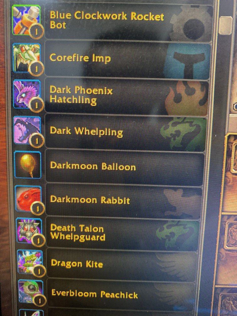 Wow Rarest Items World of Warcraft Rare Pet, Hobbies & Toys, Toys & Games on Carousell