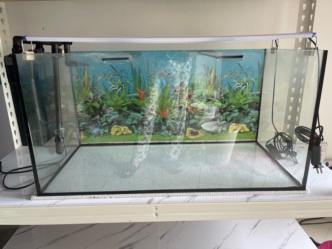 26 litres in on sale gallons