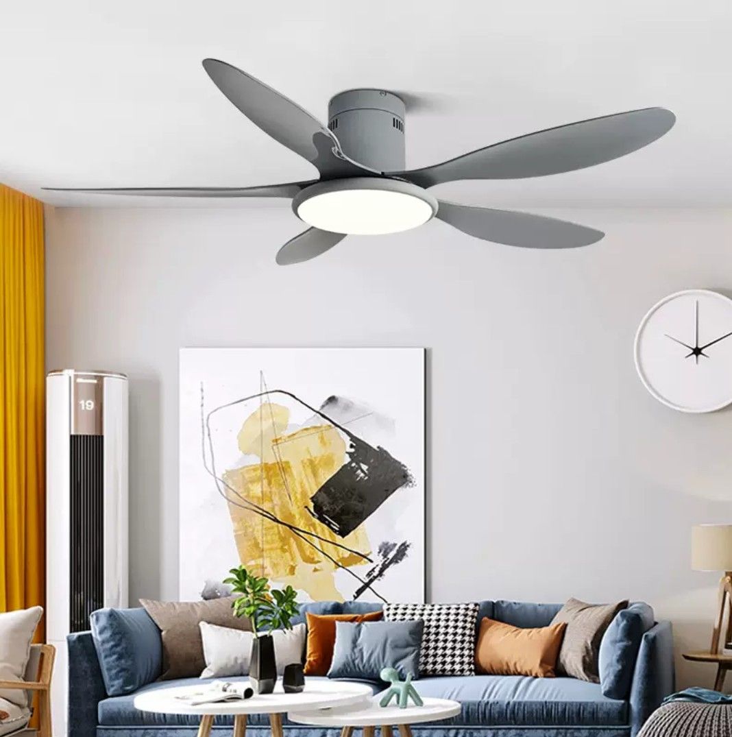 Ceiling Fan, Ceiling fan with light