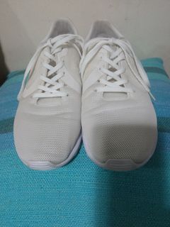 Converse Auckland Ultra