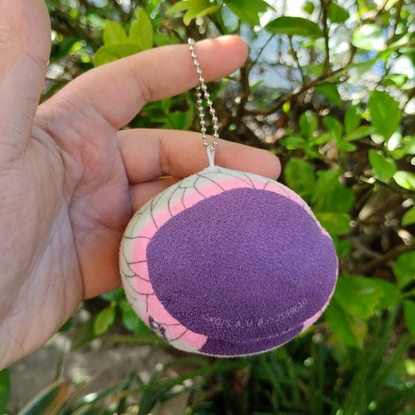 Demon Slayer Insect Hashira Shinobu Kocho Mochi Plush charm, Hobbies ...