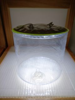 （分類：）位於 。 由 ennaantok06 提交（商品編號 1214968761，圖片 1）。簡介： 。