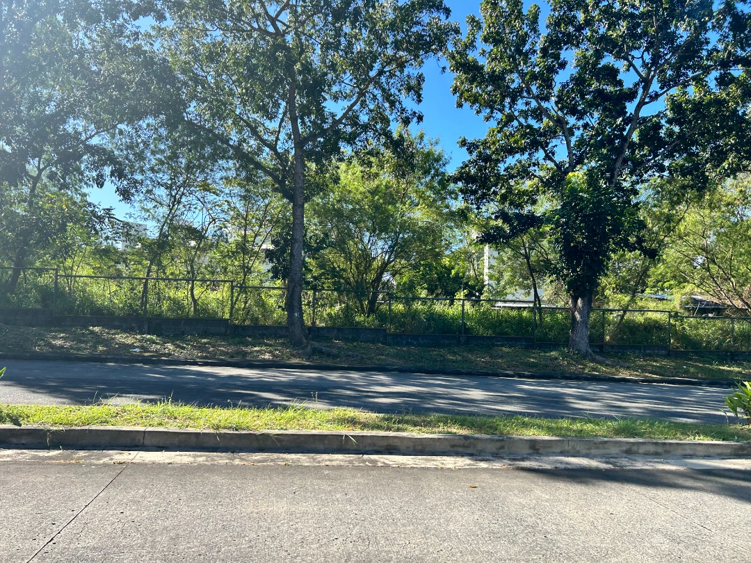 (Category: ) located in . Submitted by dominiclorico (Listing ID 1215044463, Image 1). Description: .