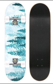 New Skateboard