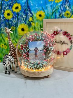 Valentine’s day Paddlepop baby breath flowers in LED globe