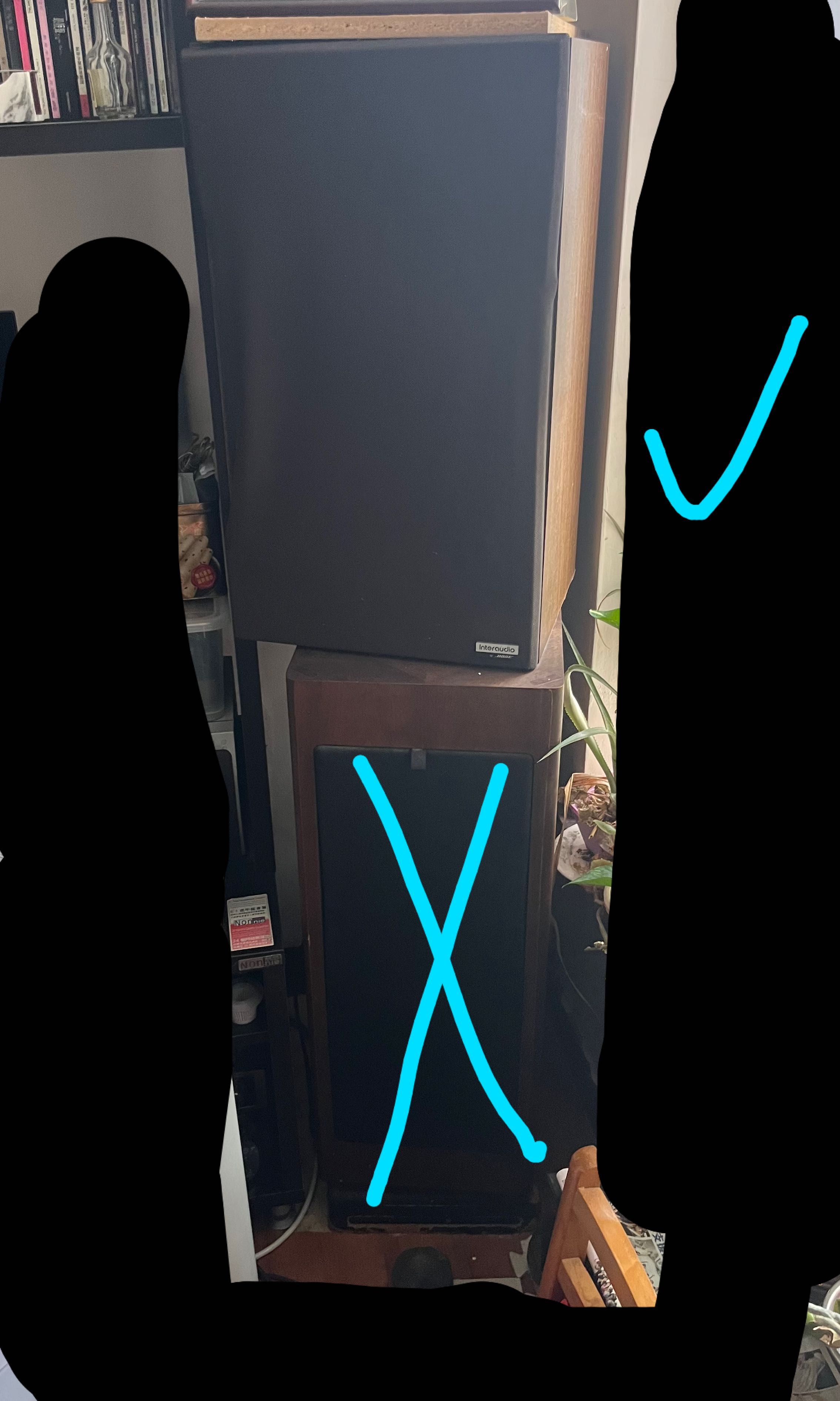 Bose interaudio shop sa 500