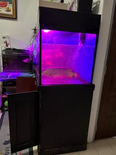 (Category: ) located in . Submitted by purewater.dff48d (Listing ID 1215197177, Image 1). Description: .