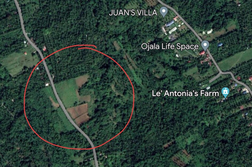 ADG FOR SALE 3 Adjoining Lots in Alfonso, Cavite, Property, For Sale