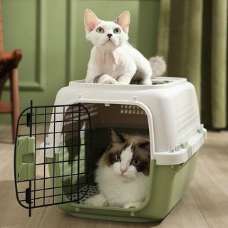 Airline Crate Sterilisation Carrier Box Collection item 2
