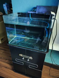 (Category: ) located in . Submitted by yiees (Listing ID 1215167132, Image 1). Description: .