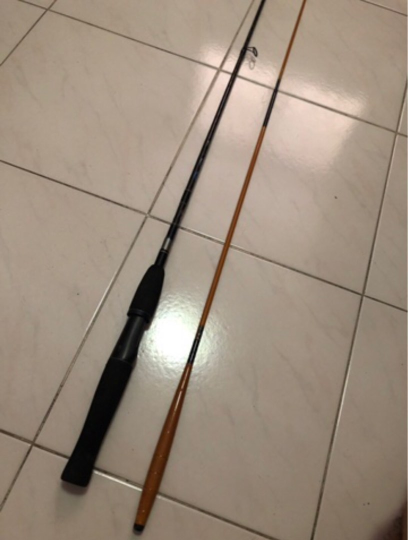 Fishing Rods Bass Pro Shops and SureCatch, Sports Equipment, Fishing on