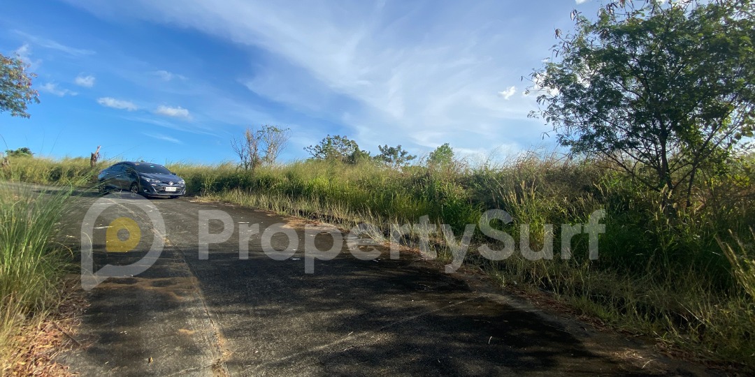 Parkridge Estates lot with unobstructed city view580 sqmP40,000/sqm