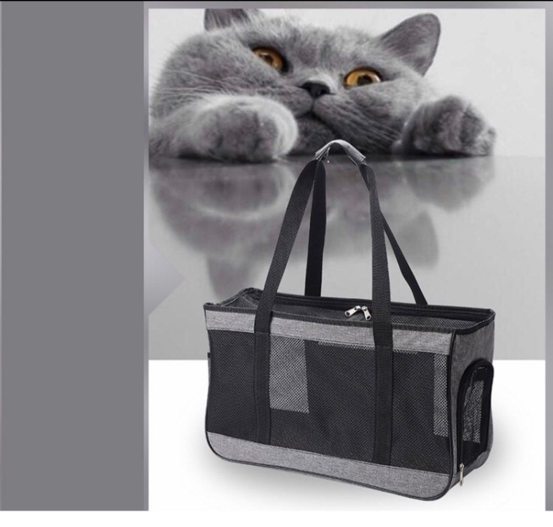 Pet Carrier, Pet Supplies, Homes & Other Pet Accessories on Carousell