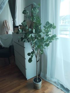 (Category: ) located in . Submitted by decoeuphoria (Listing ID 1215180072, Image 1). Description: .