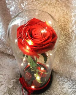 (Category: ) located in . Submitted by nathariashoppe (Listing ID 1215140790, Image 1). Description: .