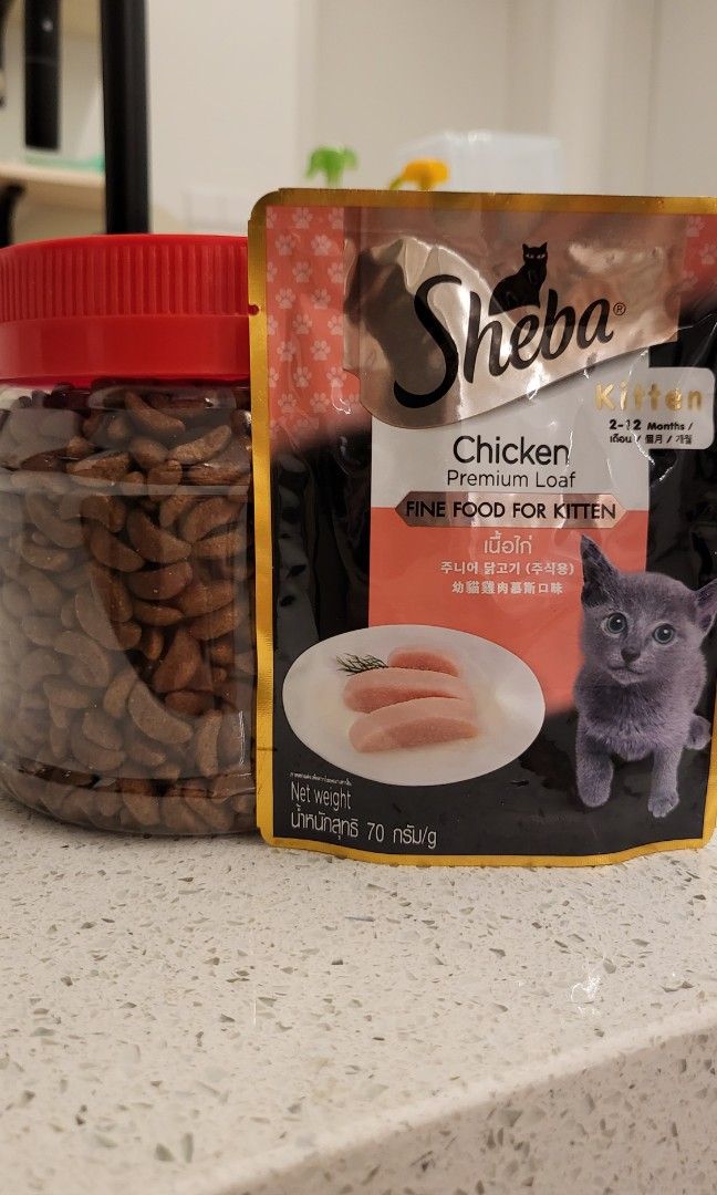 Royal canin outlet kitten repack