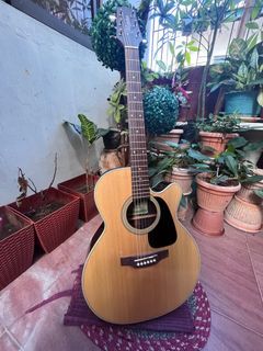 Takamine D-Series with Fernando Padded Case