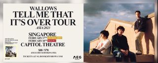 WTS 01 X Wallows Ticket 18 Feb