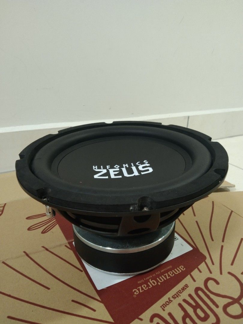 Subwoofer 10 inch double coil 2025
