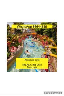 Adventure cove waterpark